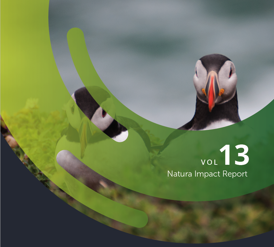 Volume 13: Natura Impact Report | Wexford County Council Online  Consultation Portal